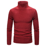 Enzo - Knitted Men's Turtleneck Sweater