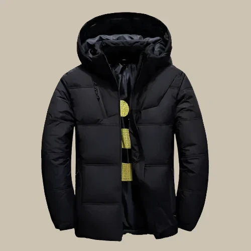 Laurens  - Premium Waterproof Winter Jacket for Men